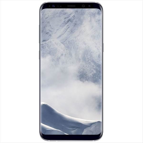 Samsung Galaxy S8+ - 64 GB - Arctic Silver (SM-G955FZSAAUT)